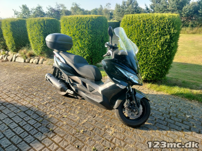 Kawasaki J 300