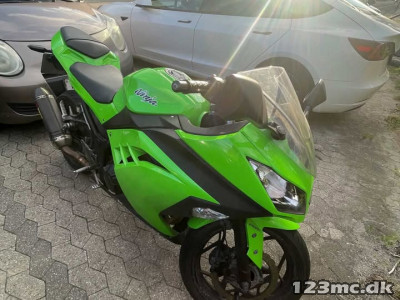 Kawasaki Ninja 300 R sport