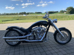 2014 Lauge Jensen Great Dane