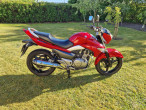 2014 Suzuki GW 250 Inazuma