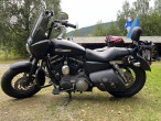 2015 Harley-Davidson XL1200 Sportster Custom