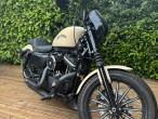 2015 Harley-Davidson XL883N Iron 883