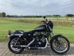 2015 Harley-Davidson XL883R