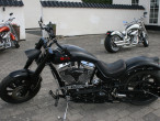 2015 Lauge Jensen Great Dane
