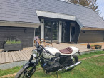 2015 Triumph Thruxton 900