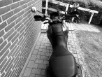 2016 Aprilia Pegaso 650
