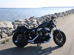 2016 Harley-Davidson XL1200X Forty Eight