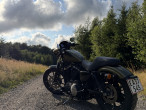 2016 Harley-Davidson XL883N Iron 883