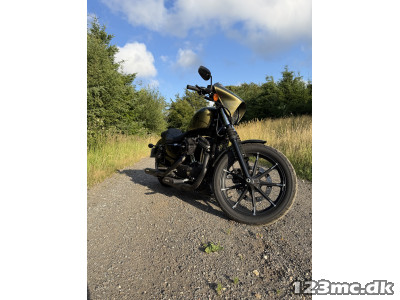 Harley-Davidson XL883N Iron 883