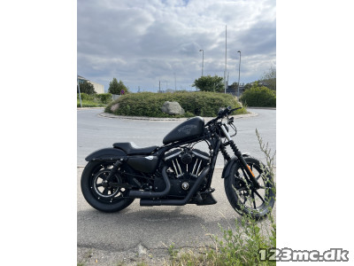 Harley-Davidson XL883N Iron 883