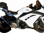 2016 Kawasaki Ninja 300 R