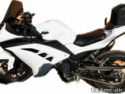 Kawasaki Ninja 300 R