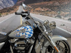 2017 Harley-Davidson FLRT Freewheeler