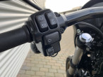 2017 Harley-Davidson FXDLS Dyna Low Rider S