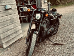2017 Harley-Davidson XL1200CX Roadster