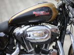 2017 Harley-Davidson XL1200T