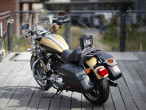 2017 Harley-Davidson XL1200T