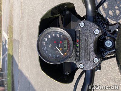 Harley-Davidson XL883N Iron 883