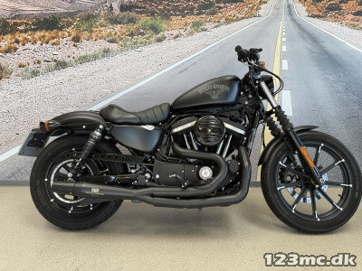 Harley-Davidson XL883N Iron 883