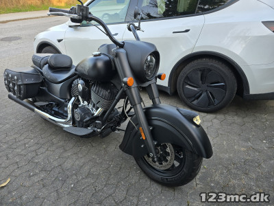 Indian Springfield Dark Horse spring