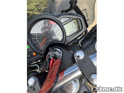 Suzuki SFV 650 Gladius
