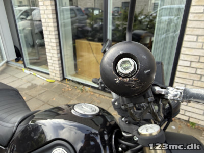 Benelli Leoncino Naked