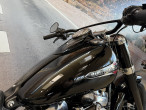 2018 Harley-Davidson FLSL Softail Slim