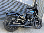 2018 Harley-Davidson XL1200NS Iron