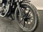2018 Harley-Davidson XL1200NS Iron