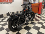 2018 Harley-Davidson XL1200XS Forty Eight Special 2018 Harley-Davidson XL1200XS Forty Eight Special