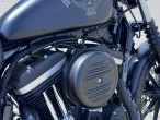 2018 Harley-Davidson XL883N Iron 883