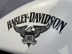 2018 Harley-Davidson XL883N Iron 883 2018 Harley-Davidson XL883N Iron 883