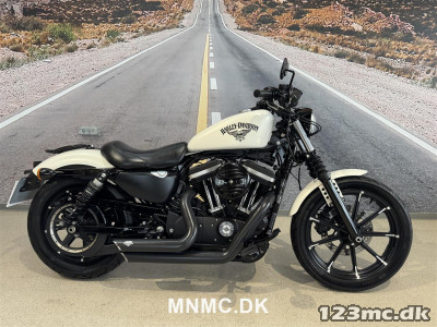 Harley-Davidson XL883N Iron 883