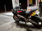 2019 Aprilia Tuono V4 1100 RR