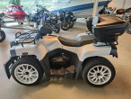 2019 Cectek Quadrift EFI 500