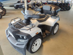 2019 Cectek Quadrift EFI 500