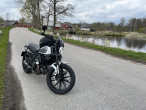 2019 Ducati Scrambler Icon