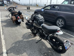 2019 Ducati Scrambler Icon