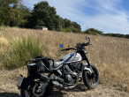 2019 Ducati Scrambler Icon