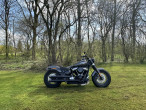 2019 Harley-Davidson FLSL Softail Slim
