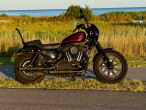 2019 Harley-Davidson XL1200NS Iron