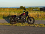 2019 Harley-Davidson XL1200NS Iron