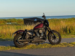 2019 Harley-Davidson XL1200NS Iron