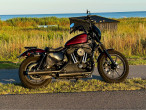 2019 Harley-Davidson XL1200NS Iron