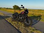 2019 Harley-Davidson XL1200NS Iron