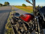 2019 Harley-Davidson XL1200NS Iron