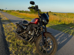 2019 Harley-Davidson XL1200NS Iron