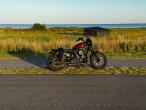 2019 Harley-Davidson XL1200NS Iron