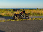 2019 Harley-Davidson XL1200NS Iron
