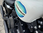 2019 Harley-Davidson XL1200NS Iron